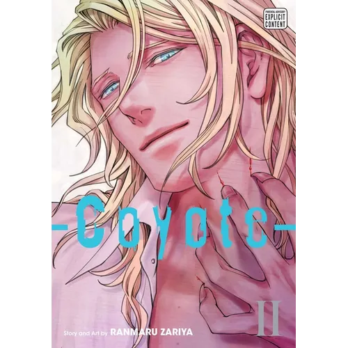 Coyote, Vol. 2 - Paperback