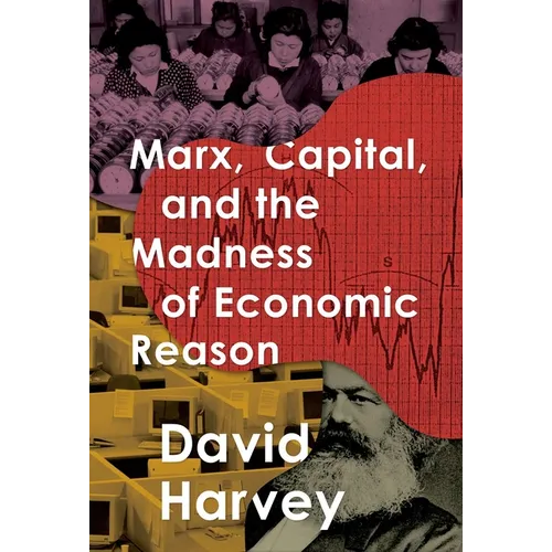 Marx, Capital, and the Madness of Economic Reason - Hardcover