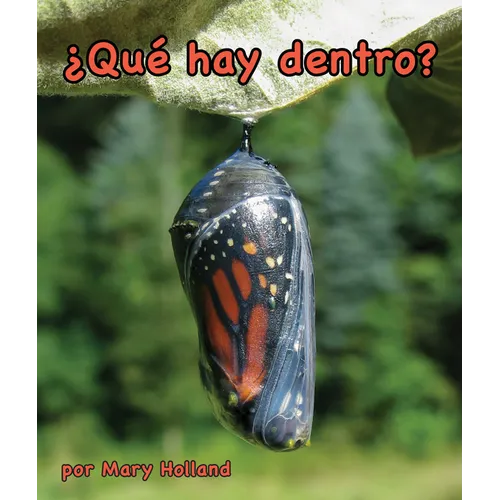 ¿Qué Hay Dentro?: What's Inside? - Paperback