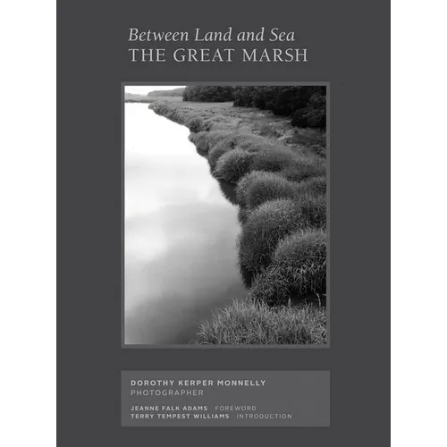 Between Land and Sea: The Great Marsh: Photographs by Dorothy Kerper Monnelly - Hardcover