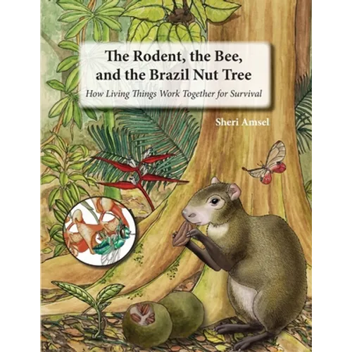 The Rodent, the Bee, and the Brazil Nut Tree: How Living Things Work Together for Survival - Paperback