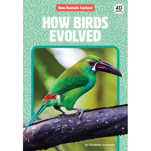 How Birds Evolved - Library Binding