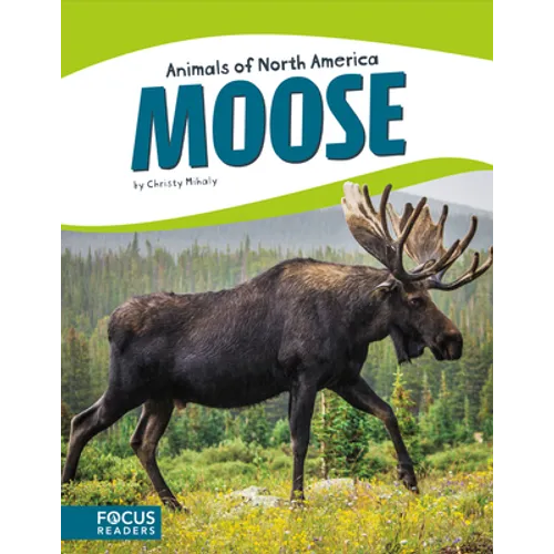 Moose - Library Binding