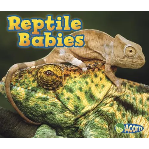 Reptile Babies - Paperback