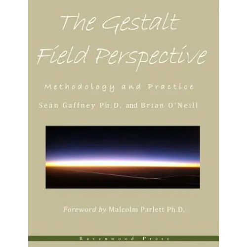 The Gestalt Field Perspective: Methodology and Practice - Paperback