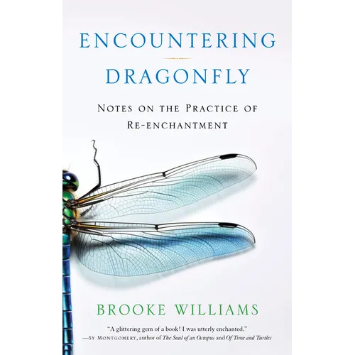 Encountering Dragonfly: Notes on the Practice of Re-Enchantment - Paperback