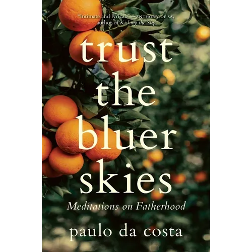 Trust the Bluer Skies: Meditations on Fatherhood - Hardcover