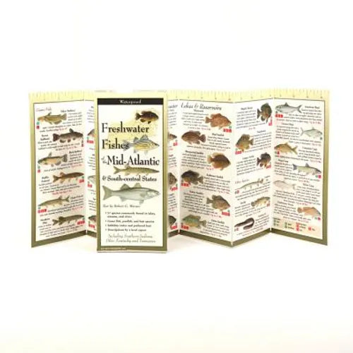 Freshwater Fishes of Mid-Atlantic