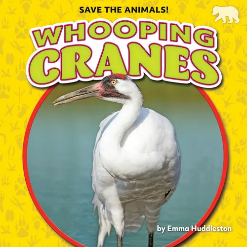 Whooping Cranes - Paperback