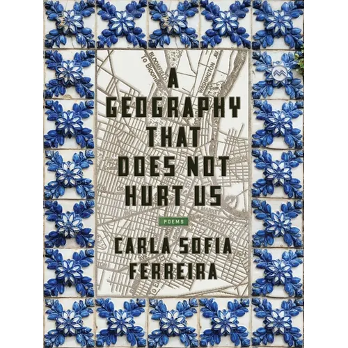 A Geography That Does Not Hurt Us - Paperback