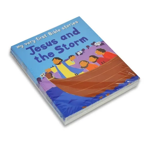 Jesus and the Storm - Paperback