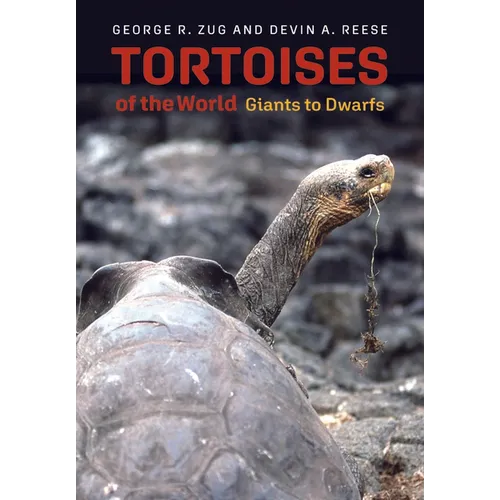 Tortoises of the World: Giants to Dwarfs - Hardcover