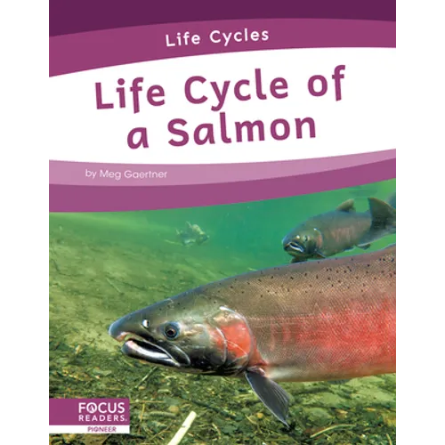 Life Cycle of a Salmon - Paperback