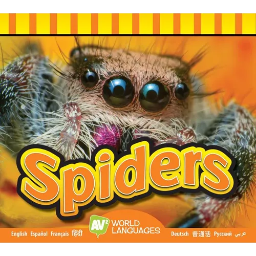 Spiders - Library Binding
