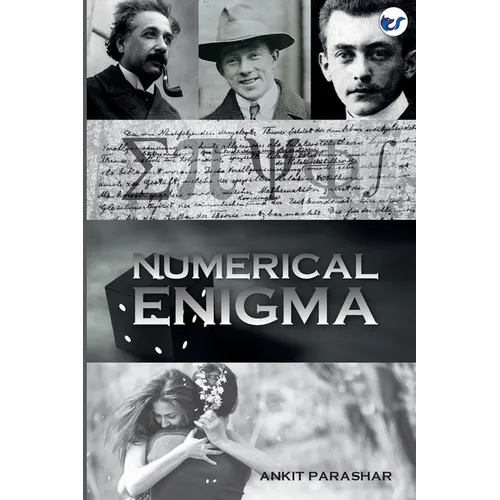 Numerical Enigma: A Quantum Mystery - Paperback