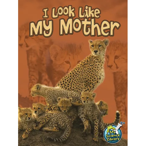 I Look Like My Mother - Paperback