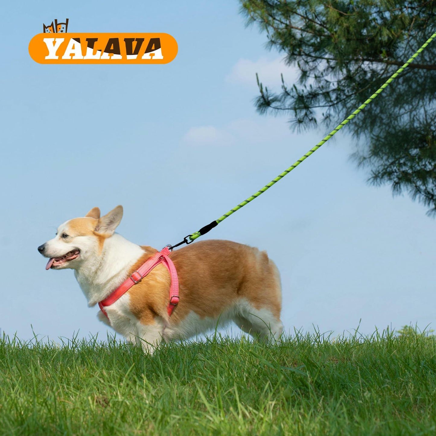 YALAVA Dog Leash 4FT Heavy Duty Reflective Nylon Rope Blue Padded Handle