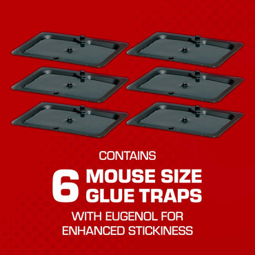 Tomcat Glue Traps Mouse Size with Eugenol for Enhanced Stickiness, 6 Count Black