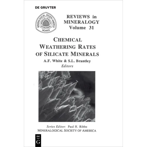 Chemical Weathering Rates of Silicate Minerals - Paperback