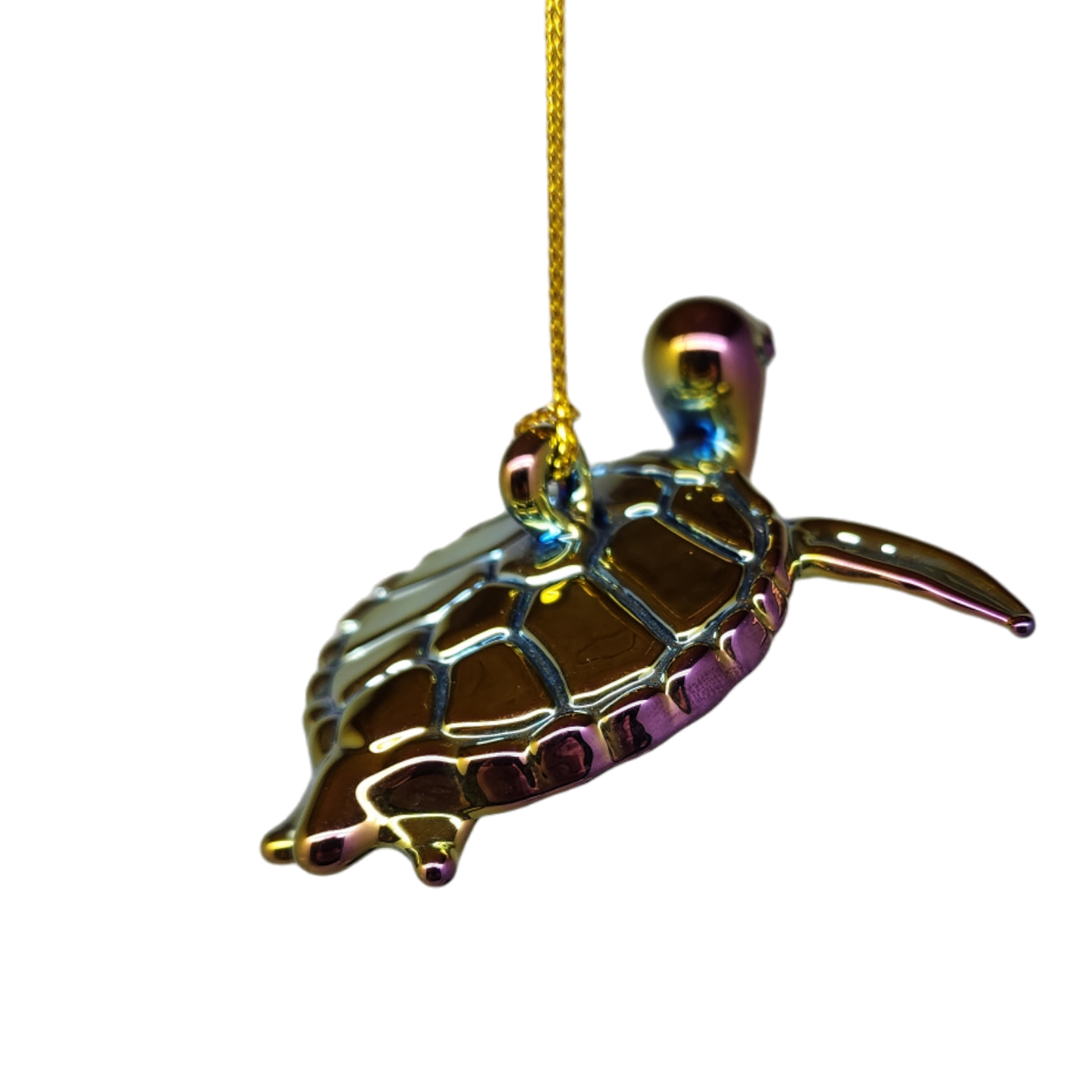 Chromatic Collection Seaturtle