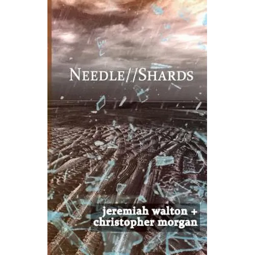 Needle // Shards - Paperback