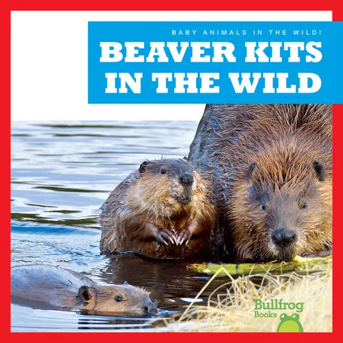 Beaver Kits in the Wild - Paperback
