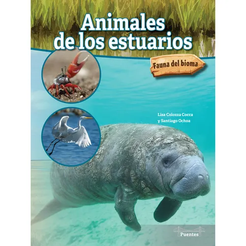Animales de Los Estuarios: Estuary Animals - Paperback