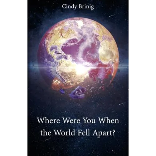 Where Were You When the World Fell Apart? - Paperback