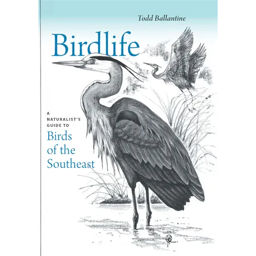 Birdlife: A Naturalist's Guide to Birds of the Southeast - Paperback