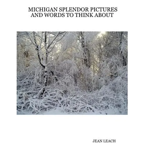 Michigan Splendor Pictures and Words to Think about - Paperback