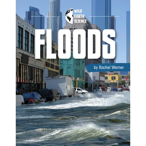 Floods - Hardcover