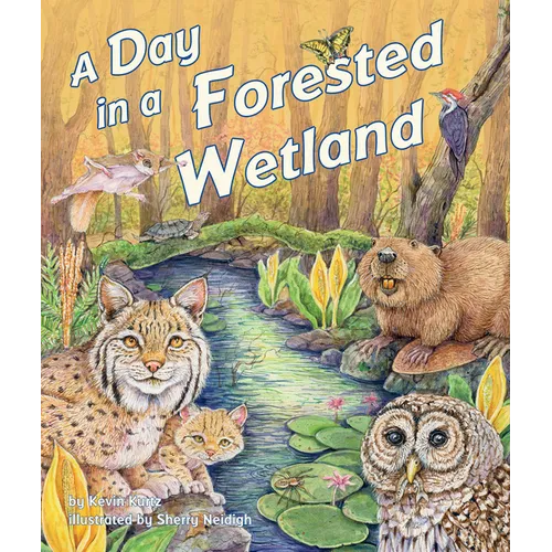 A Day in a Forested Wetland - Paperback