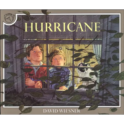 Hurricane - Hardcover