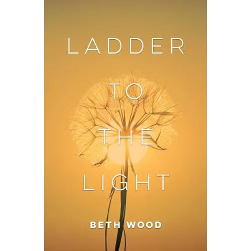 Ladder to the Light - Paperback