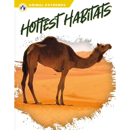 Hottest Habitats - Paperback