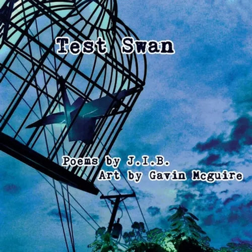 Test Swan - Paperback