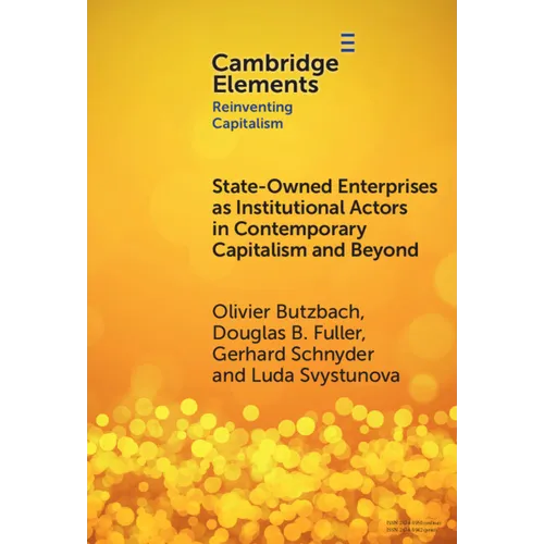 State-Owned Enterprises as Institutional Actors in Contemporary Capitalism and Beyond - Hardcover