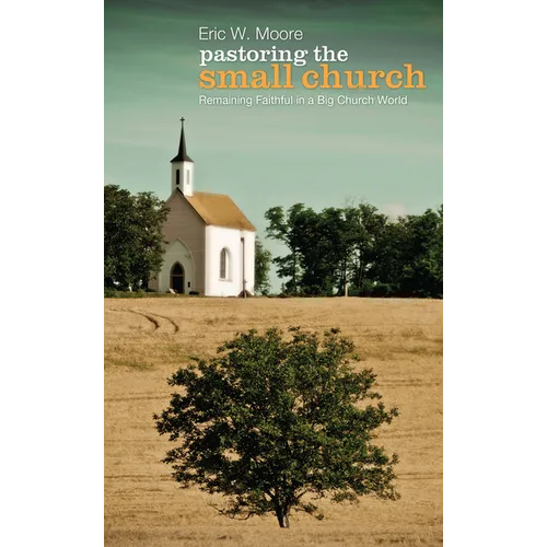 Pastoring the Small Church - Paperback