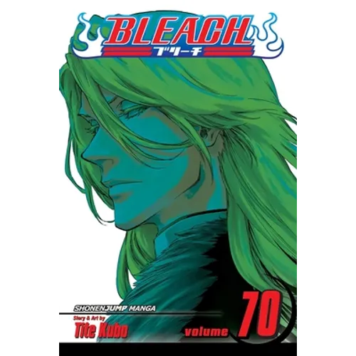 Bleach, Vol. 70 - Paperback