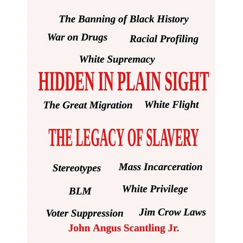 Hidden In Plain Sight: The Legacy of Slavery - Paperback