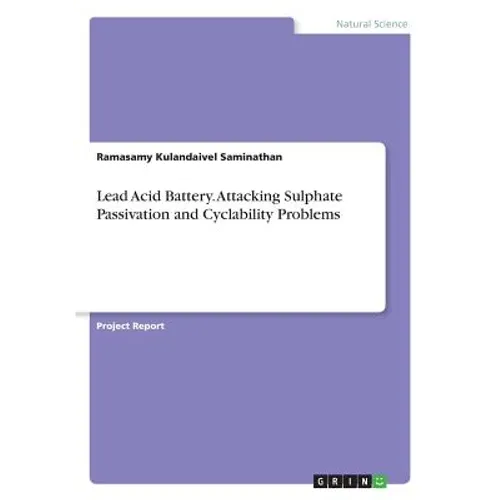 Lead Acid Battery. Attacking Sulphate Passivation and Cyclability Problems - Paperback