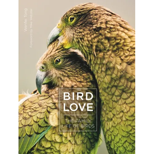 Bird Love: The Family Life of Birds - Hardcover