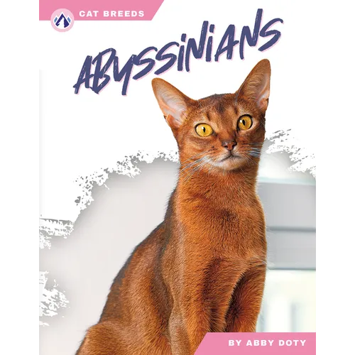 Abyssinians - Paperback