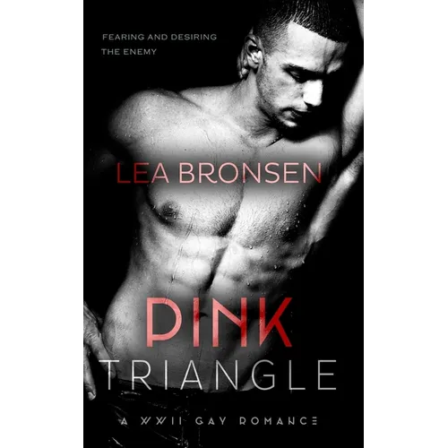 Pink Triangle: A WWII Gay Romance - Paperback