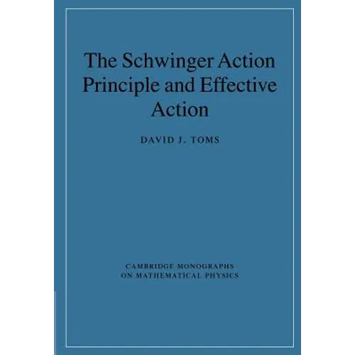 The Schwinger Action Principle and Effective Action - Paperback
