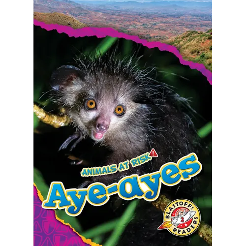 Aye-Ayes - Library Binding