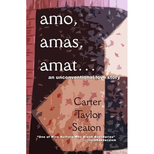 amo, amas, amat...: An Unconventional Love Story - Paperback