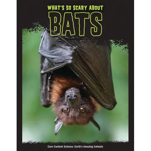 What's So Scary about Bats? - Library Binding