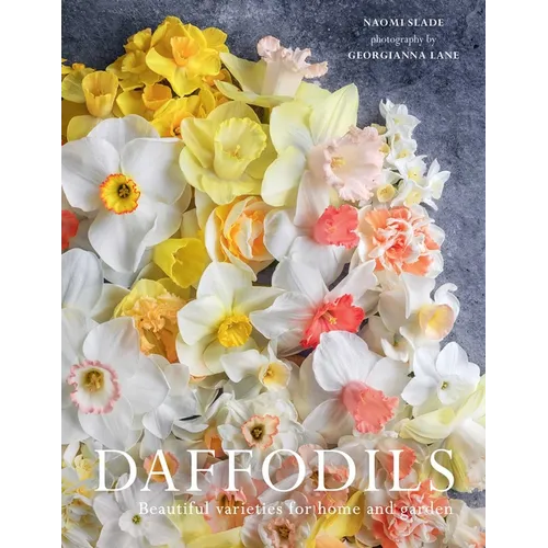 Daffodils: Beautiful Varieties for Home and Garden - Hardcover
