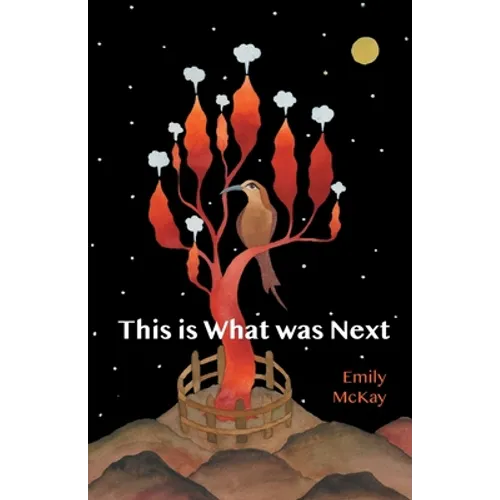 This is What was Next - Paperback